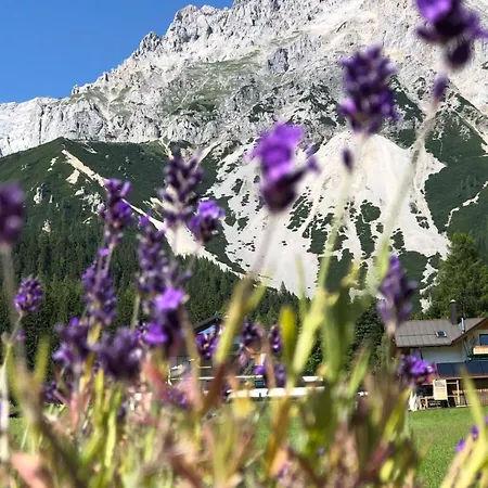 Guest house Club Ramsau am Dachstein
