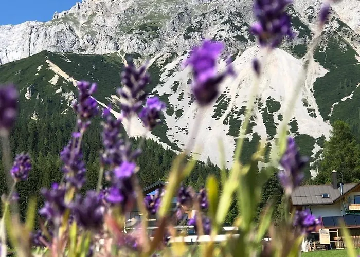 Konukevi Club Ramsau am Dachstein